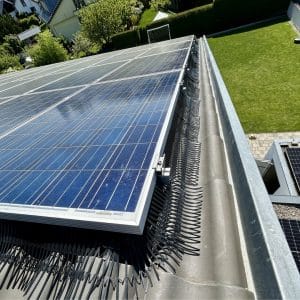 Birdstop XL - per meter - zonnepaneel bescherming - Afbeelding 3