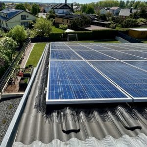 Birdstop XL - per meter - zonnepaneel bescherming - Afbeelding 2
