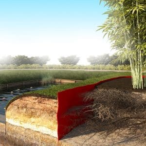 Paddenwering HDPE – 0.30 meter breed - 10 of 50 meter lang – Bewateringssysteem - Ecologische verbindingszone - Afbeelding 3